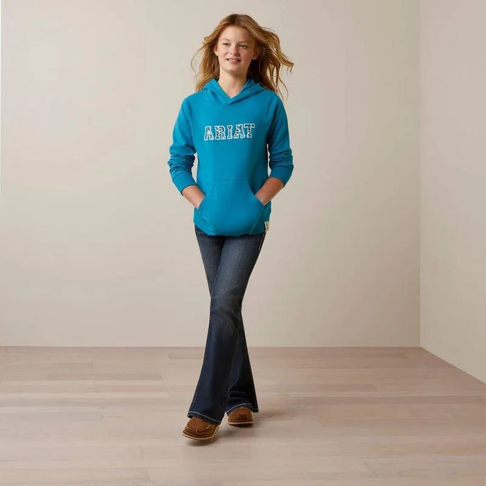 Ariat Youth 3D Logo 2.0 Hood - Mosaic Blue - L