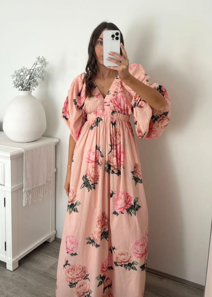 Aster Maxi | Peony