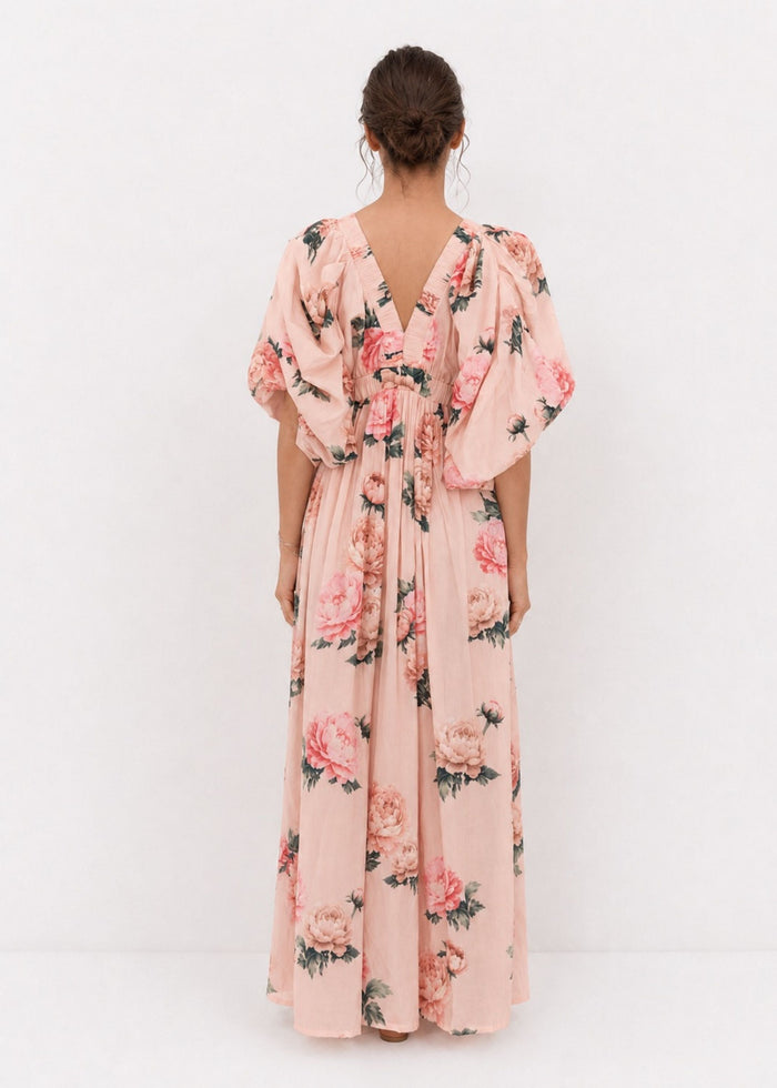 Aster Maxi | Peony