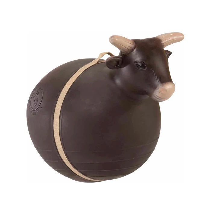 Big Country Bouncy Bull