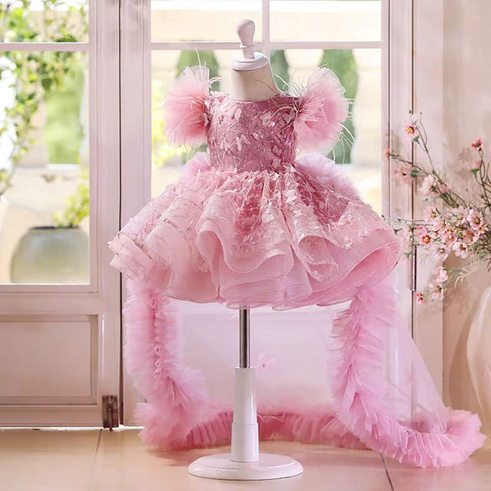Butterfly Applique Flower Baby Girl Dress With Trailing D063