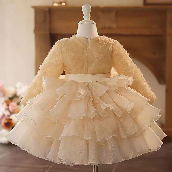 Champagne Tulle Girl Dress Long Sleeve Toddler Kids 1st Birthday Gown J465