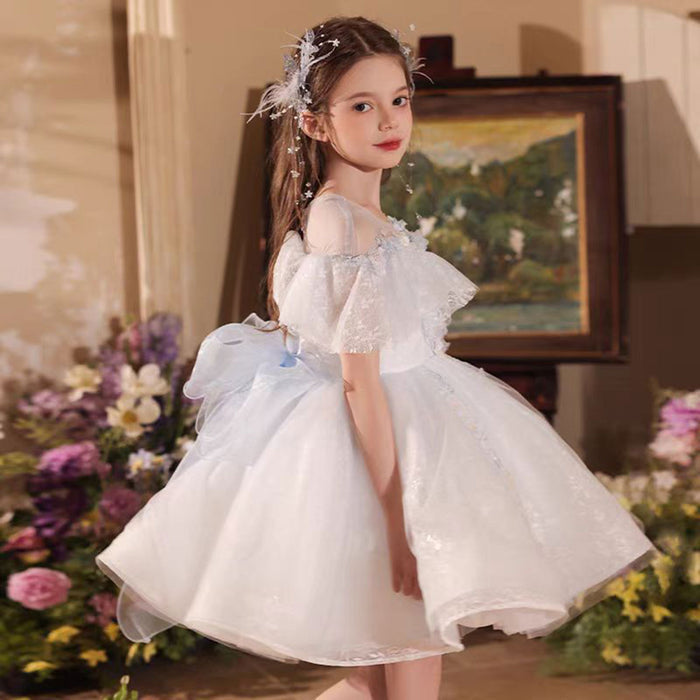 Charming Applique Embroidered Ruffle Flower Girl Dress Blue J517