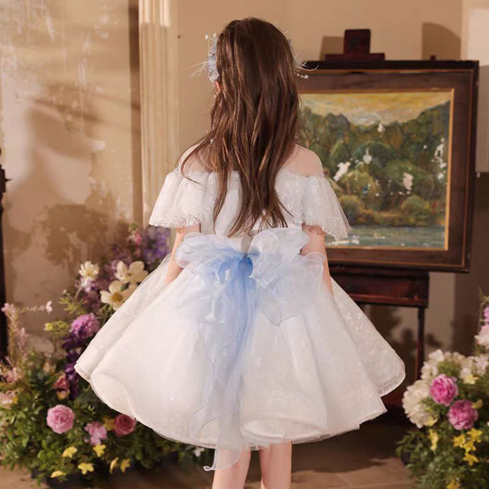 Charming Applique Embroidered Ruffle Flower Girl Dress Blue J517