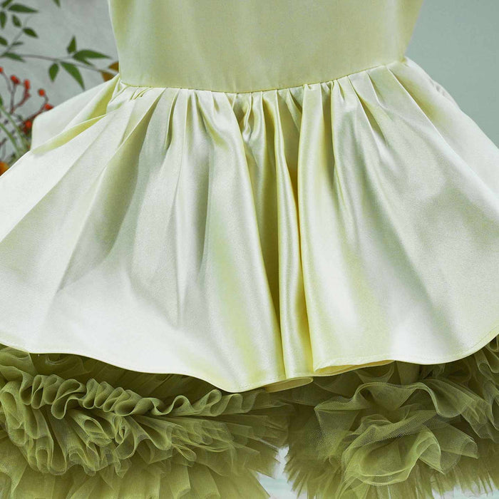 Charming Princess Flower Girl Dress for Girls Birthday Party D169