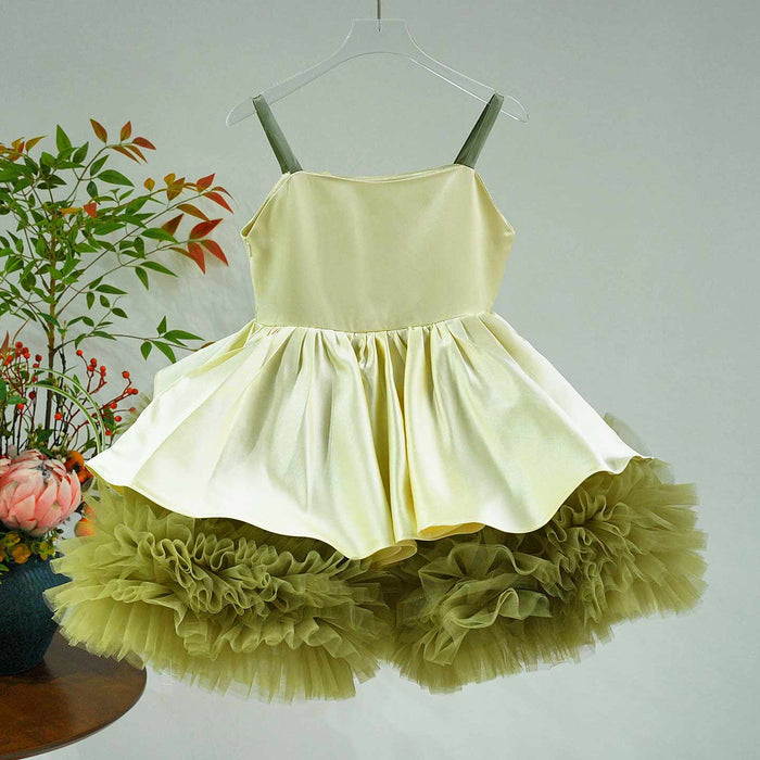 Charming Princess Flower Girl Dress for Girls Birthday Party D169