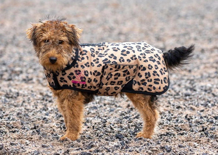 Digby & Fox Leopard Print Dog Coat - Leopard Print - L