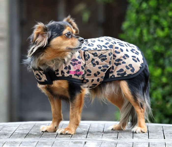 Digby & Fox Leopard Print Dog Coat - Leopard Print - L