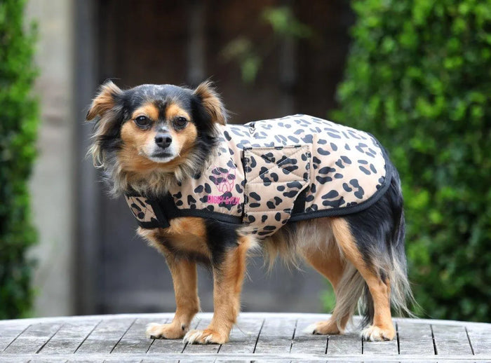 Digby & Fox Leopard Print Dog Coat - Leopard Print - L