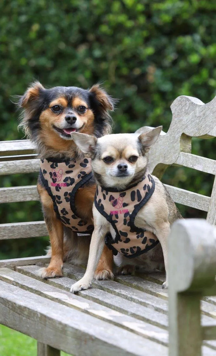 Digby & Fox Leopard Print Harness - Leopard - L
