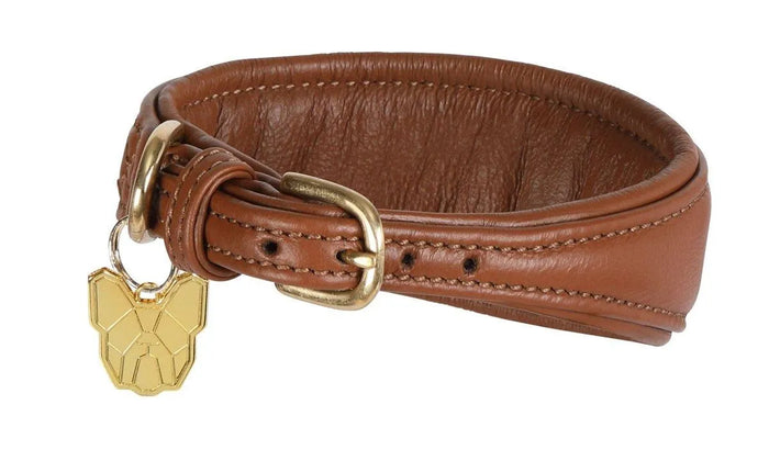 Digby & Fox Padded Greyhound Collar - Black - L