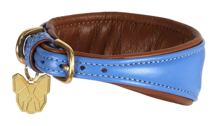 Digby & Fox Padded Greyhound Collar - Black - L