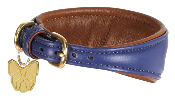 Digby & Fox Padded Greyhound Collar - Black - L