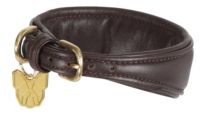 Digby & Fox Padded Greyhound Collar - Black - L