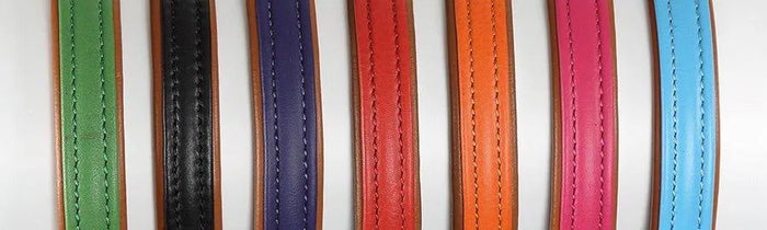 Digby & Fox Padded Leather Dog Collar - Aqua - L