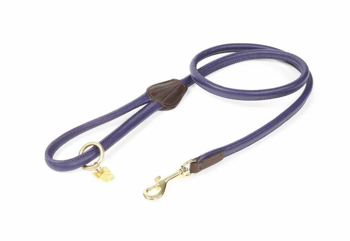 Digby & Fox Rolled Leather Dog Lead - Black -