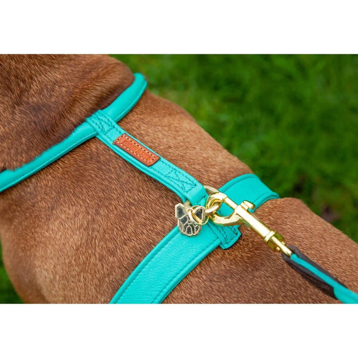 Digby & Fox Rolled Leather Dog Lead - Black -