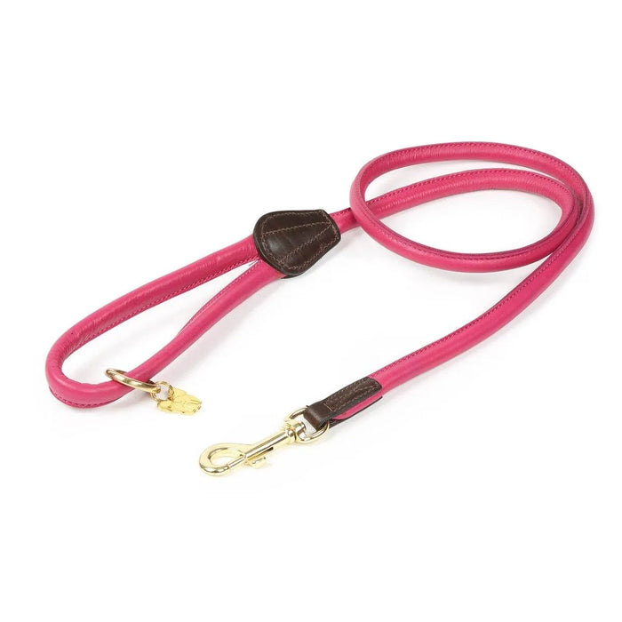 Digby & Fox Rolled Leather Dog Lead - Black -