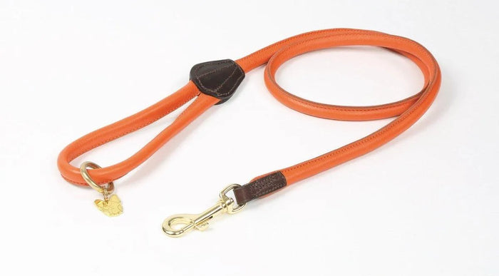 Digby & Fox Rolled Leather Dog Lead - Black -