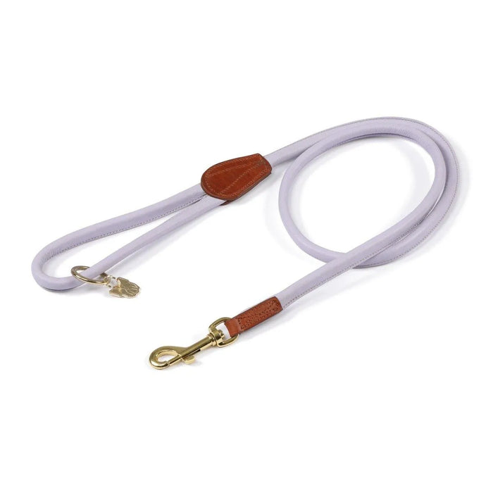Digby & Fox Rolled Leather Dog Lead - Black -