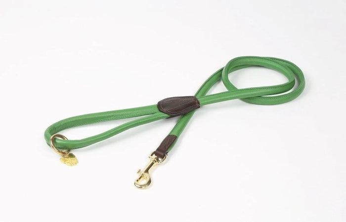 Digby & Fox Rolled Leather Dog Lead - Black -