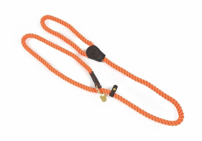Digby & Fox Rope Slip Dog Lead - Black -