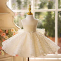 Dreamy Elegant Sleeveless Scoop Neck Princess Girl Dress With Bow J789