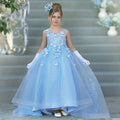 Elegant Blue Girl Dress with Butterfly for Birthday Wedding Party J021