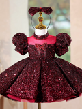 Elegant Burgundy Girl Dress Princess Birthday Party Gown J715