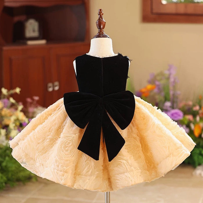 Elegant Girl Dress Velvet Bowed for Kids Birthday Party J421
