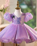 Fairy Lilac Flower Girl Dress for Birthday Wedding Party J440