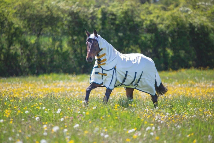 Highlander Plus Sweet - itch Combo Rug - White - 4ft