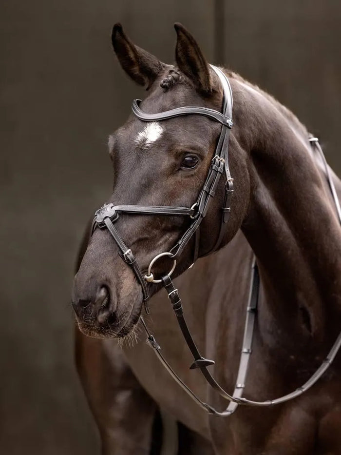 Black / Pony