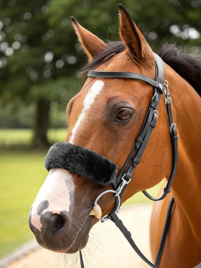 LeMieux Simuwool Noseband Cover Black - Black -