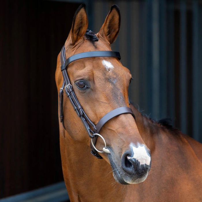 Lusso Hunter Cavesson Bridle - Black - Cob