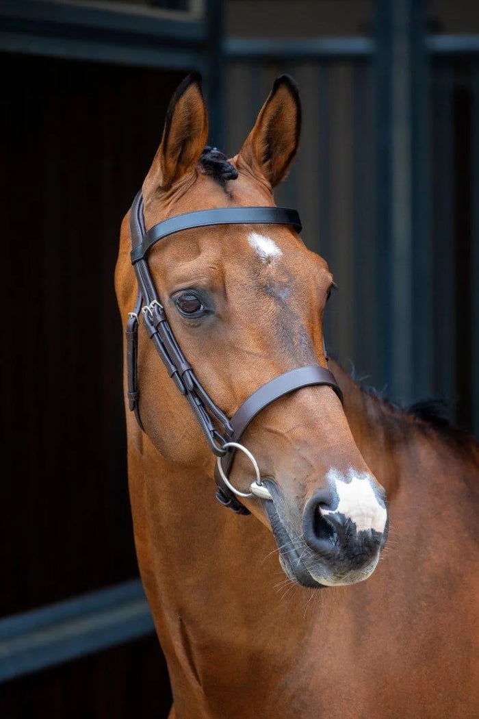 Lusso Hunter Cavesson Bridle - Black - Cob