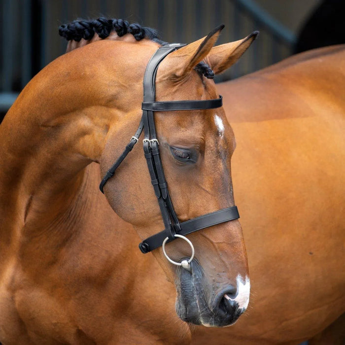 Lusso Hunter Cavesson Bridle - Black - Cob