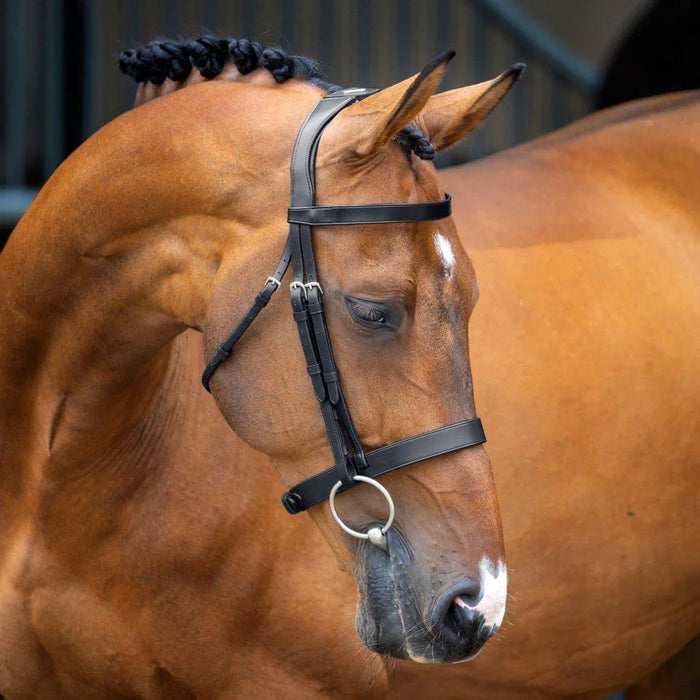 Lusso Hunter Cavesson Bridle - Black - Cob