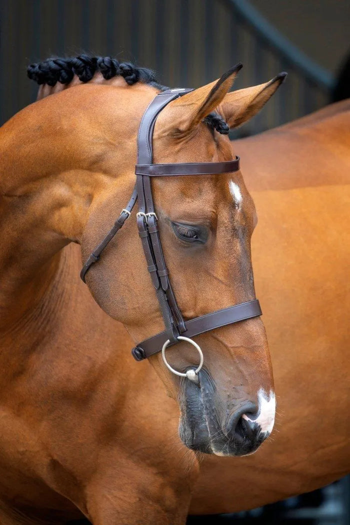 Lusso Hunter Cavesson Bridle - Black - Cob