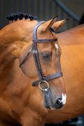 Lusso Hunter Cavesson Bridle - Black - Cob