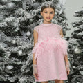 Luxury Pink Princess Girl Dress with Feathers Beading J395