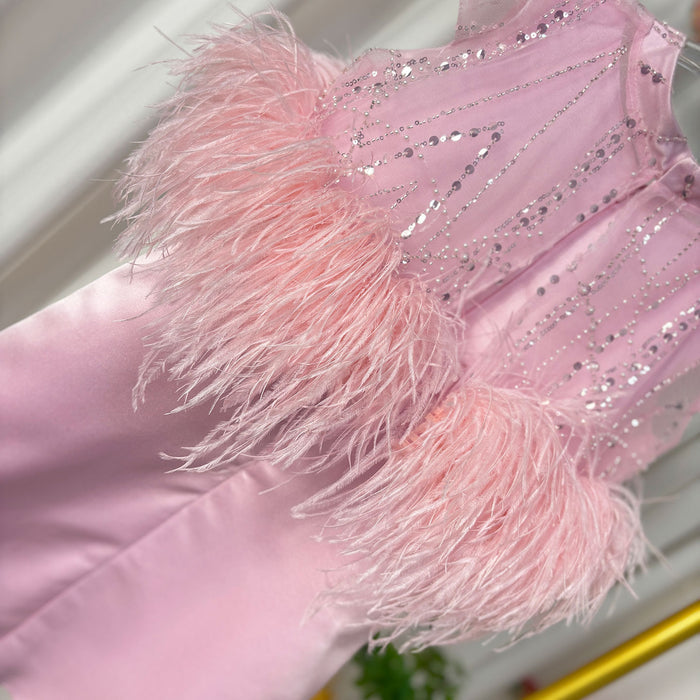 Luxury Pink Princess Girl Dress with Feathers Beading J395