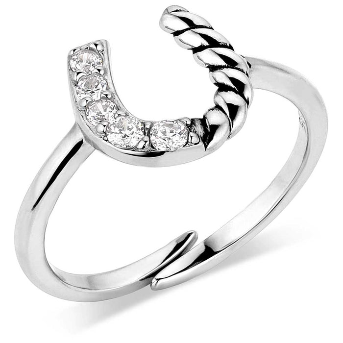 Montana Silversmiths High Tides Roping Luck Crystal