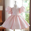 Pink Girl Dress Embroidered Kids Birthday Party Holiday J754