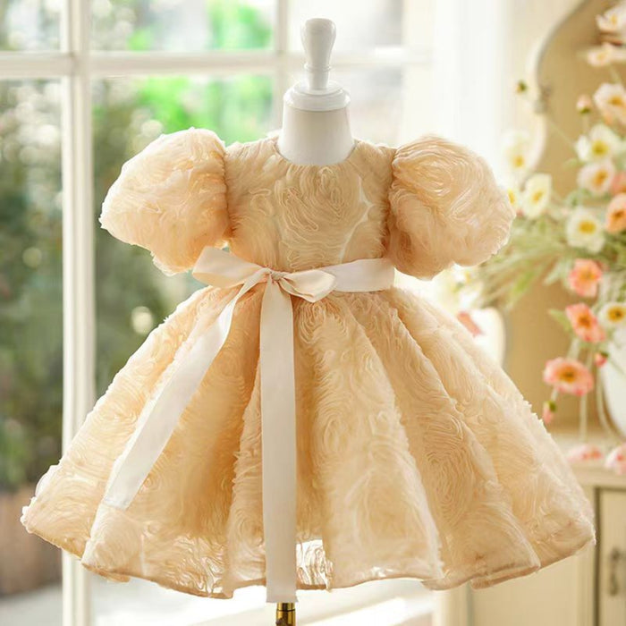 Pink Girl Dress Kids 1st Toddler Birthday Party Holiday Gown J751