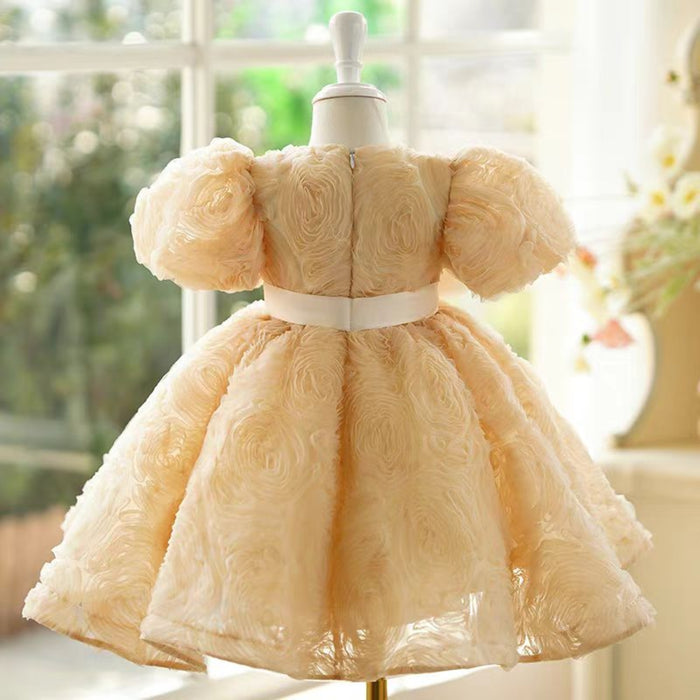 Pink Girl Dress Kids 1st Toddler Birthday Party Holiday Gown J751