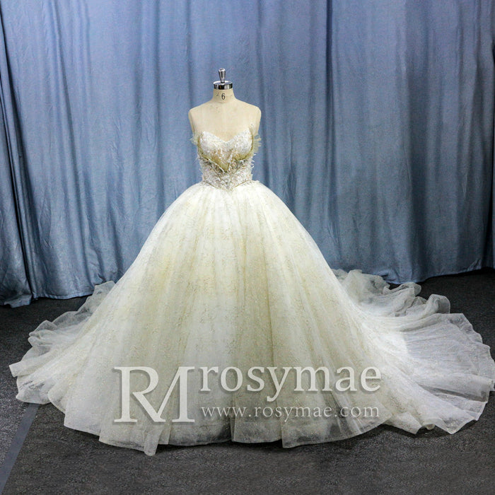Strapless Puffy Skirt Sweetheart Lace Ball Gown Bridal Wedding Dress - Rosymae