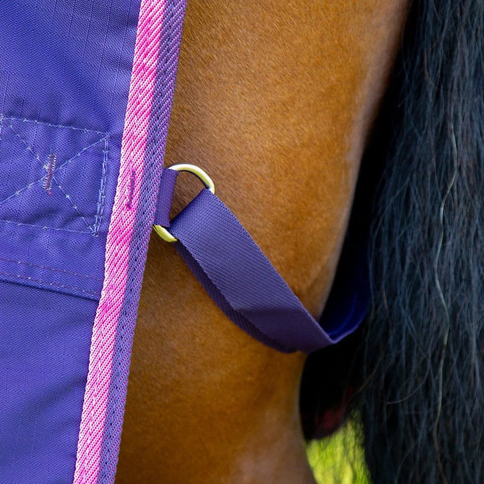 Tempest Original 200 Turnout Rug - Maroon - 4'0"