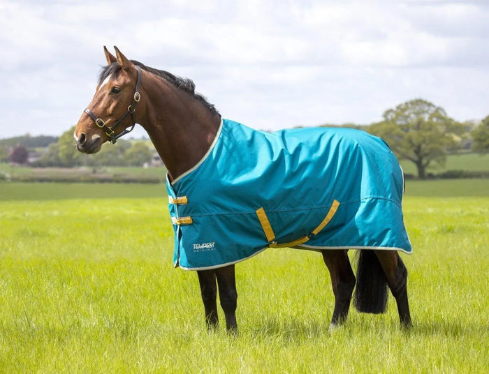 Tempest Original 50 Turnout Rug - Blue - 4'0"