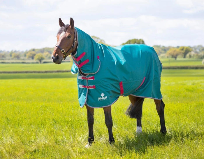 Tempest Original Air Motion Combo Rug - Green - 4'0"
